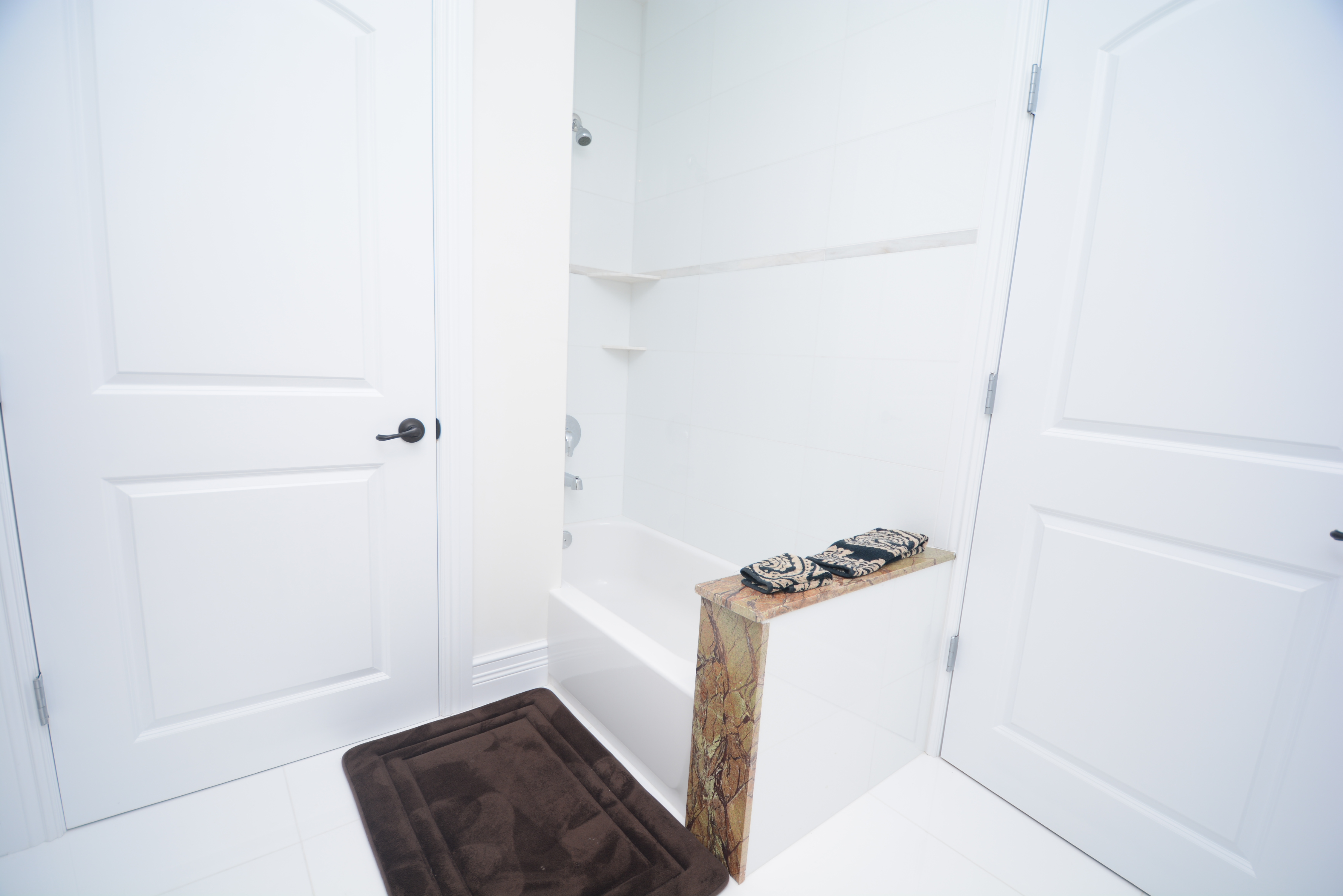 Master Bathroom Renovation